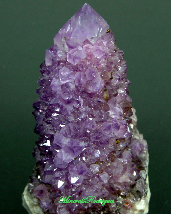 Minerals Rodrigues foto 8