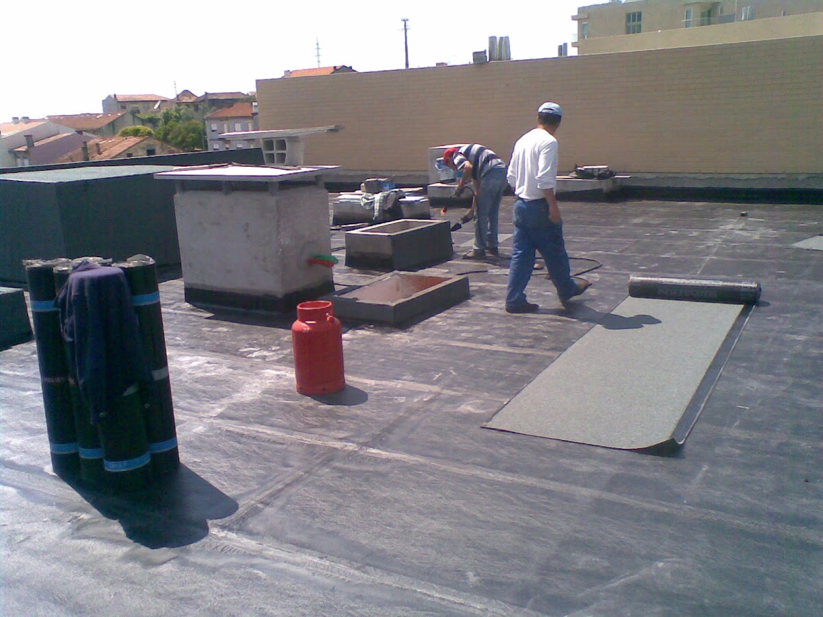 TMCARS foto 4