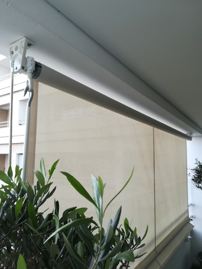Toldaxia foto 2