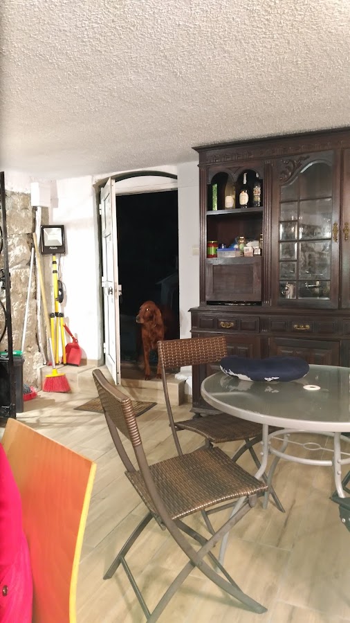Chão D'Ordem - Imobiliária Construções, Lda. foto 3