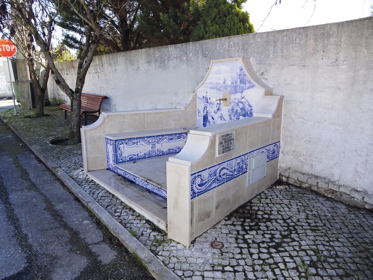 Gestos Nativos - Intervenções Artísticas foto 5