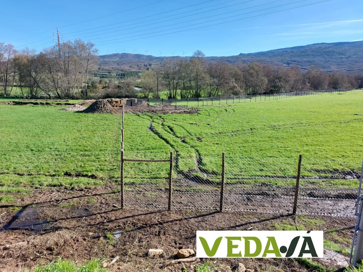 Pravin, Preservação De Madeiras Para Vinhas E Vedações, S.A foto 3