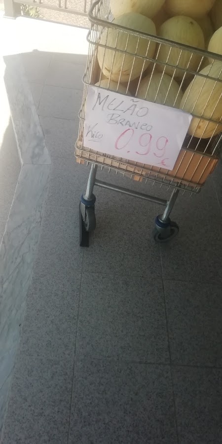 Mundipol