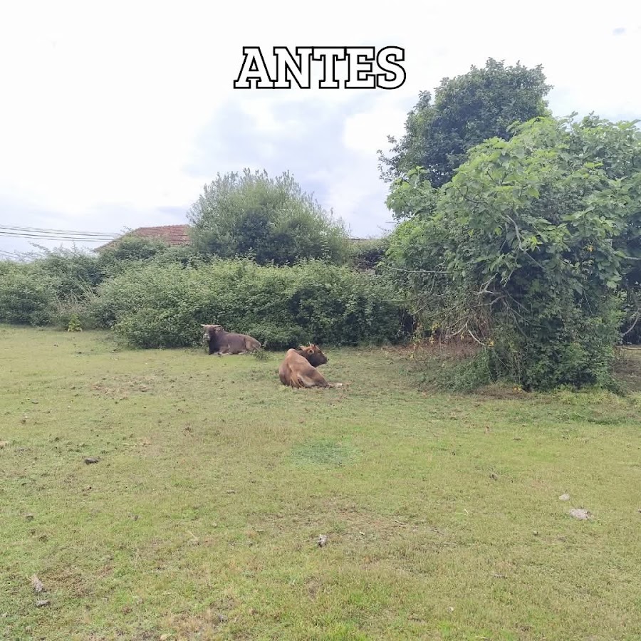 Automatismos para Portões - Automaticway foto 4