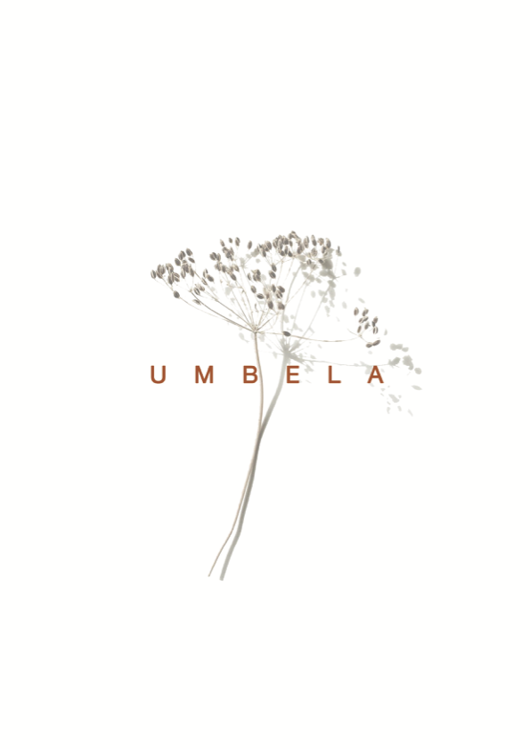 Umbela, Lda