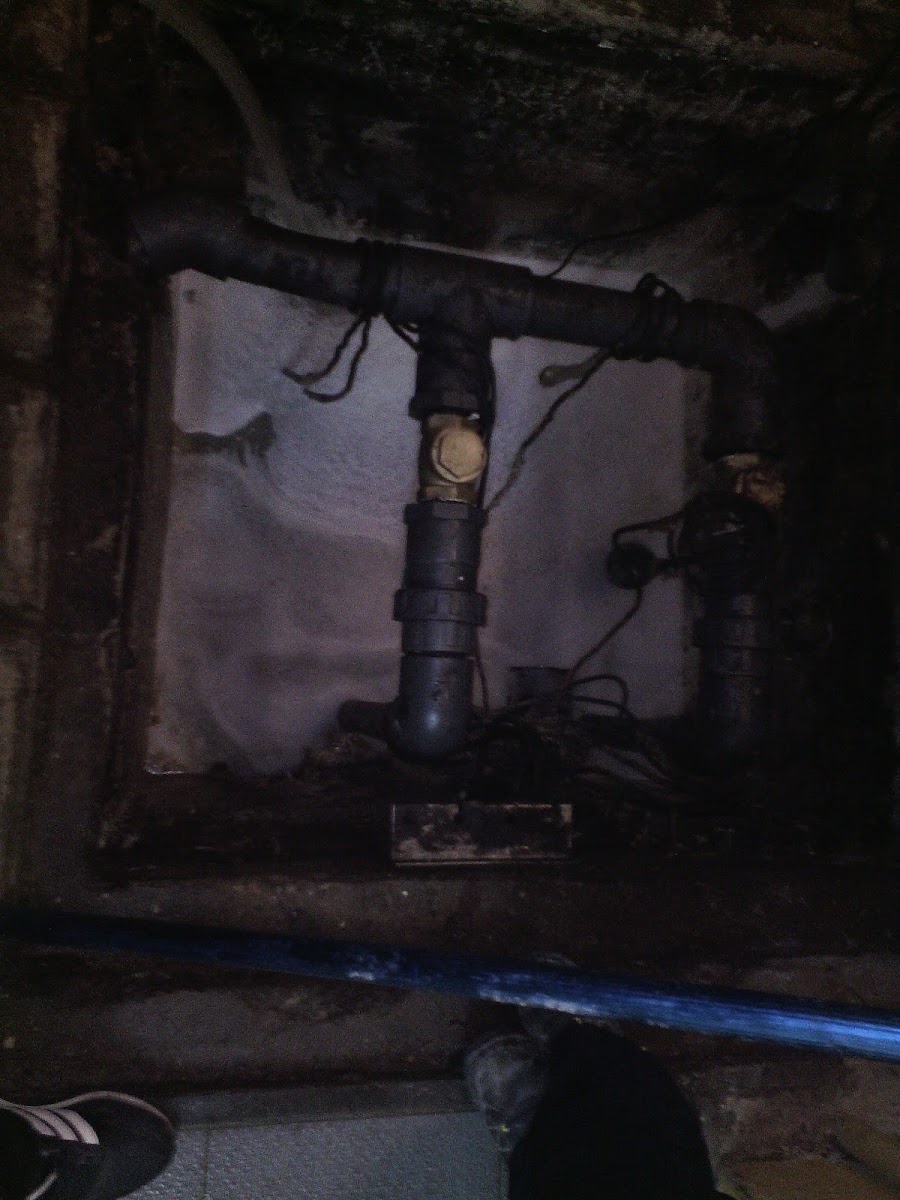 Esgotop Desentupimentos &amp; Canalizações LDA. foto 2