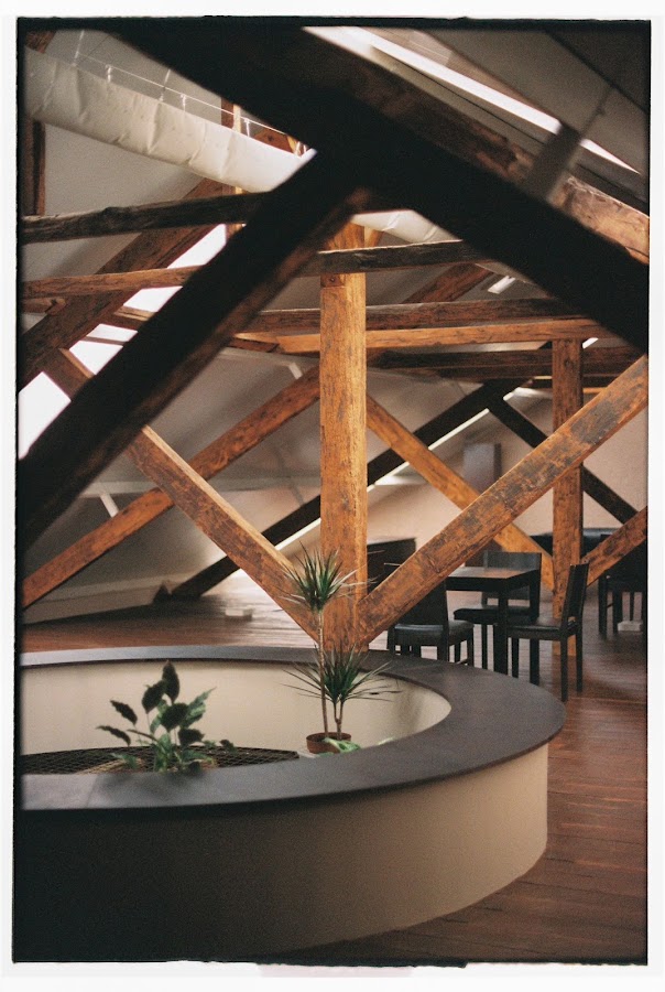 TECTO STUDIO