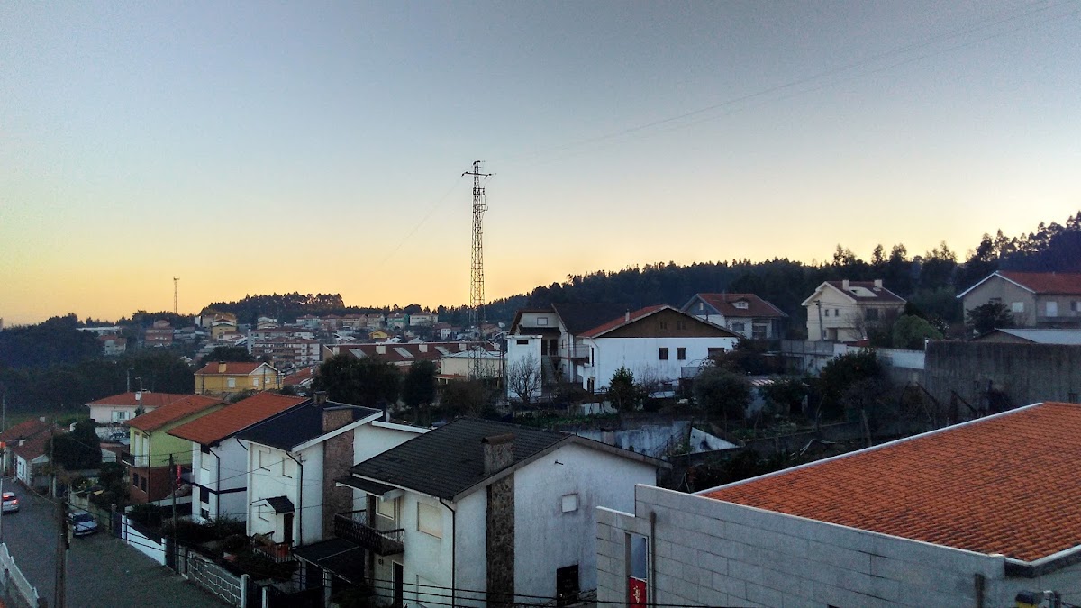 Tomagol Lda foto 9